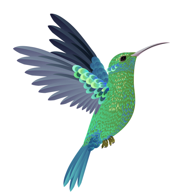 colibri