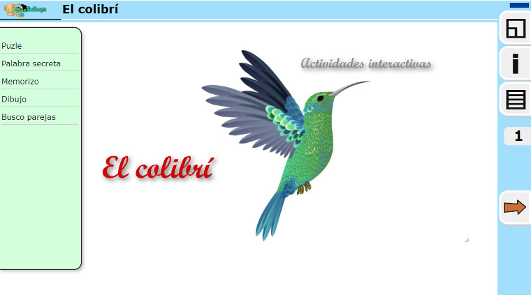 El colibrí  - Pica para ir a la actividad
