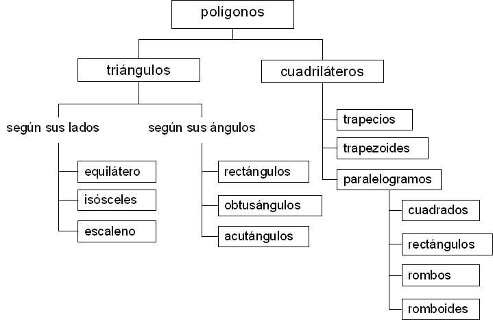 Mapa conceptual de los polígonos